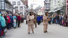 33 Fasent Zell